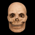 Universal Monsters - Mask Of Red Death Injection (Mask)